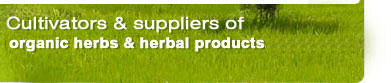 ayurvedic herbs, Indian herbs, organic herbs, herbal extracts, natural herbs